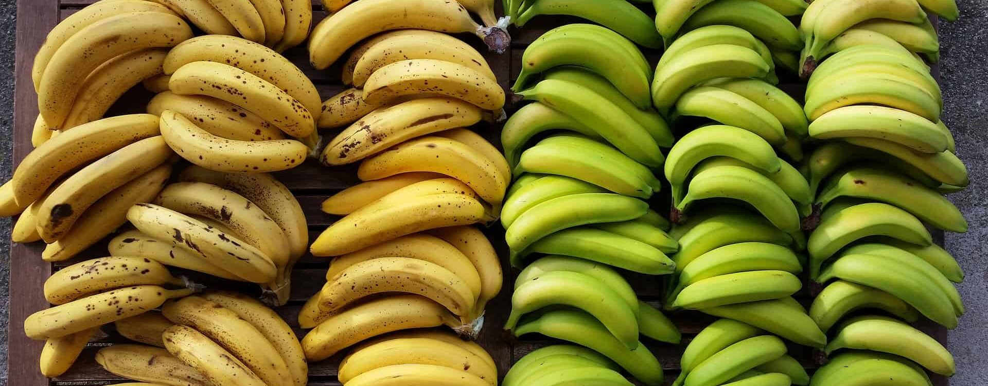 bananas