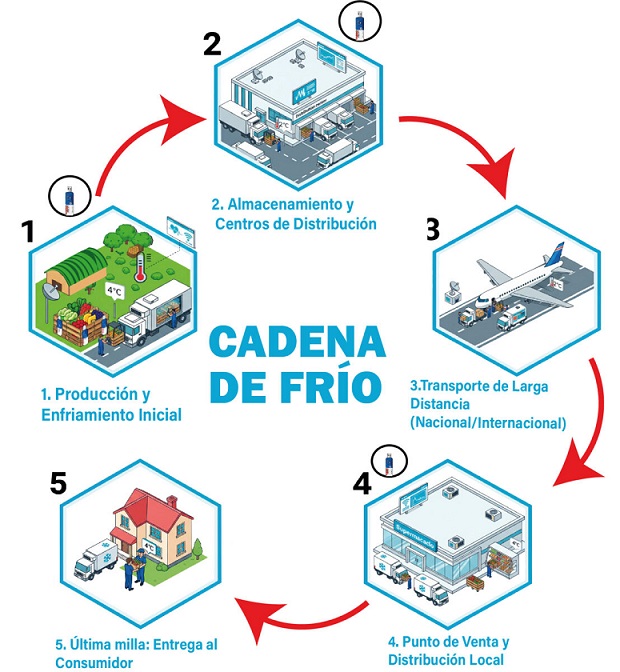 Etapas de la cadena de frío: producción, almacenamiento, transporte, venta, consumidor.