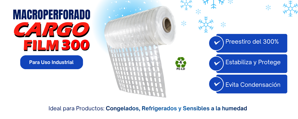 MEDIDAS CARGOFILM300 (1200 x 480 px) (1) (1)